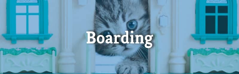 mobile boarding