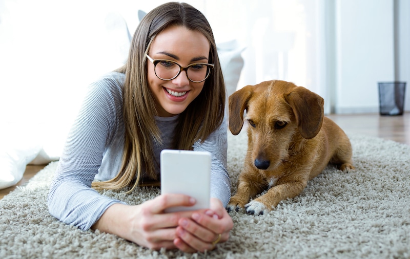 dog and owner meeting digitally with vet